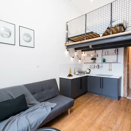 Momo Studio 25